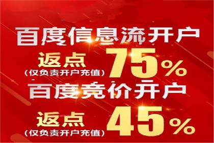 SEM代理服务：案例分享，效果显著